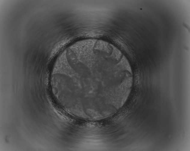 X0000100490736200807031916