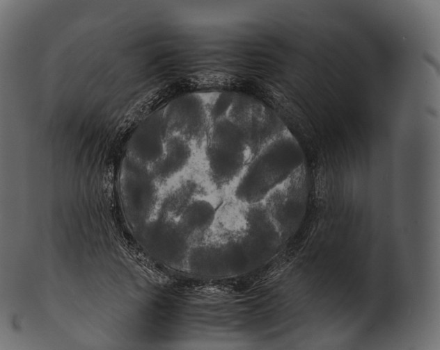 X0000100490737200807031916