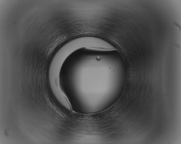 X0000100490738200807031916