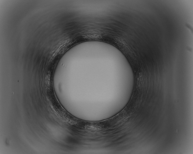 X0000100490739200807031916