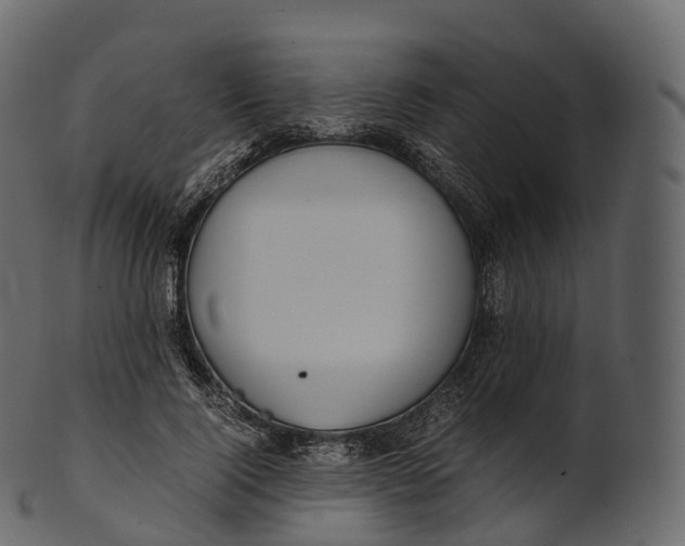 X0000100490740200807031916