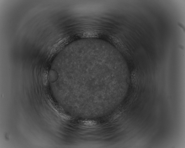 X0000100490741200807031916