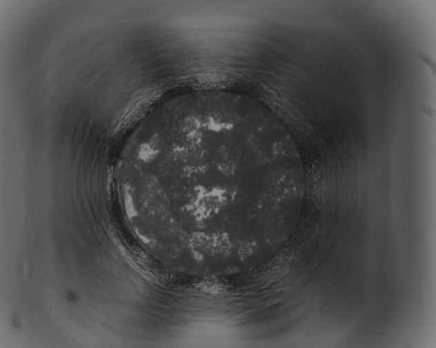 X0000100490742200807031916