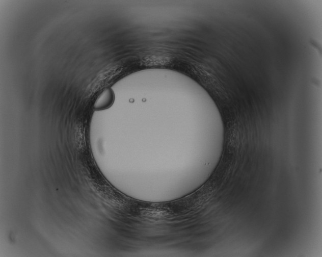 X0000100490743200807031916