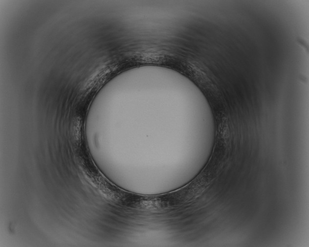 X0000100490744200807031916