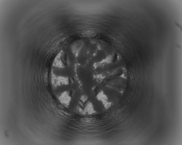 X0000100490745200807031916