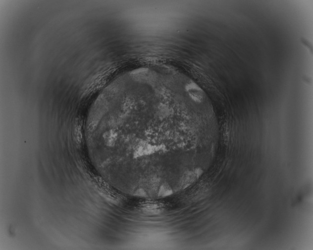 X0000100490746200807031916