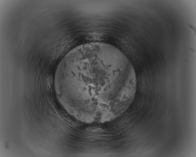 X0000100490747200807031916