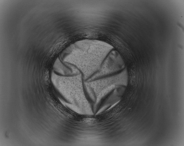 X0000100490748200807031916