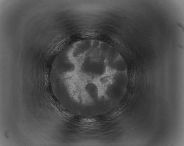 X0000100490749200807031916