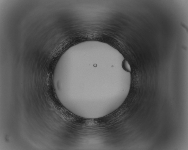 X0000100490750200807031916