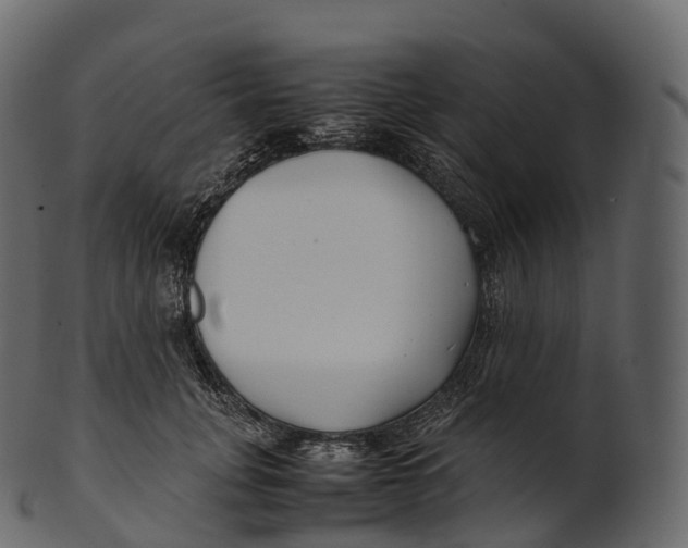 X0000100490751200807031916