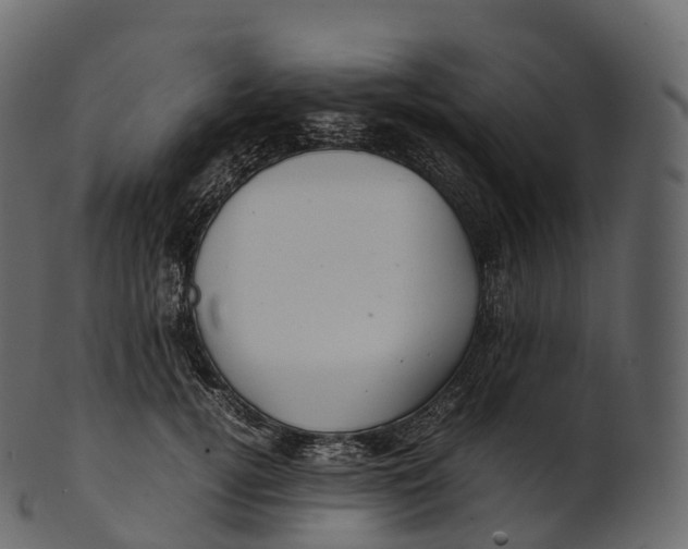 X0000100490752200807031916