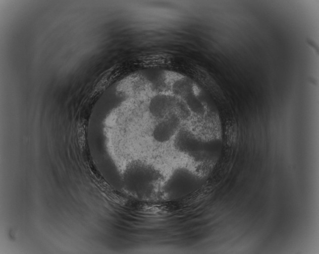 X0000100490753200807031916