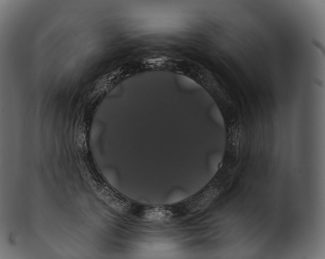 X0000100490754200807031916