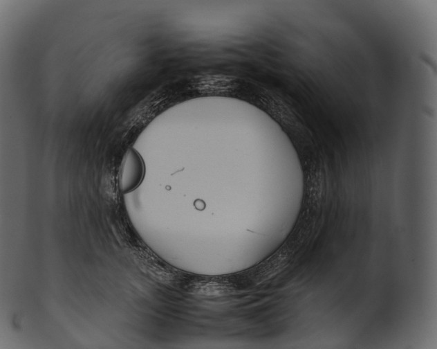 X0000100490755200807031916