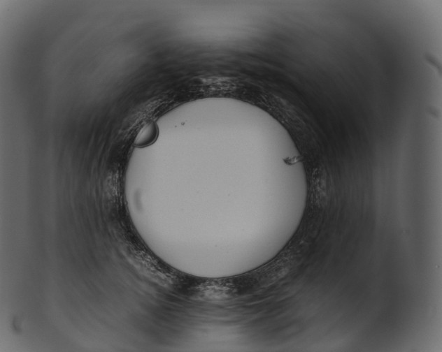 X0000100490756200807031916