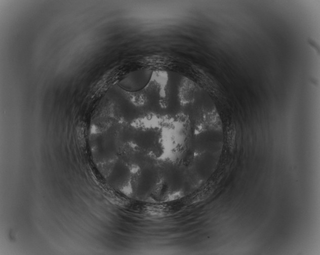 X0000100490757200807031916