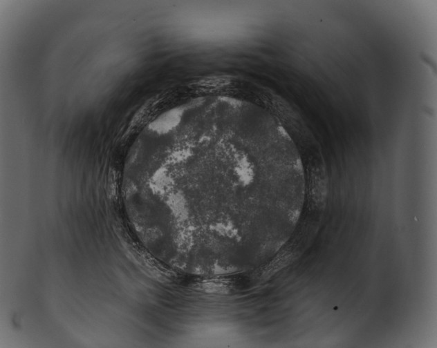 X0000100490758200807031916