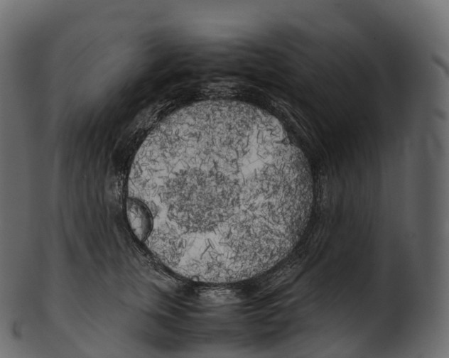 X0000100490759200807031916