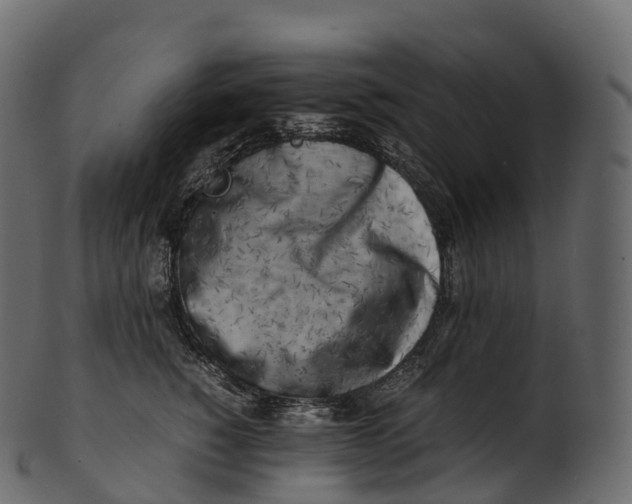 X0000100490760200807031916