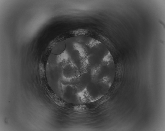 X0000100490761200807031916