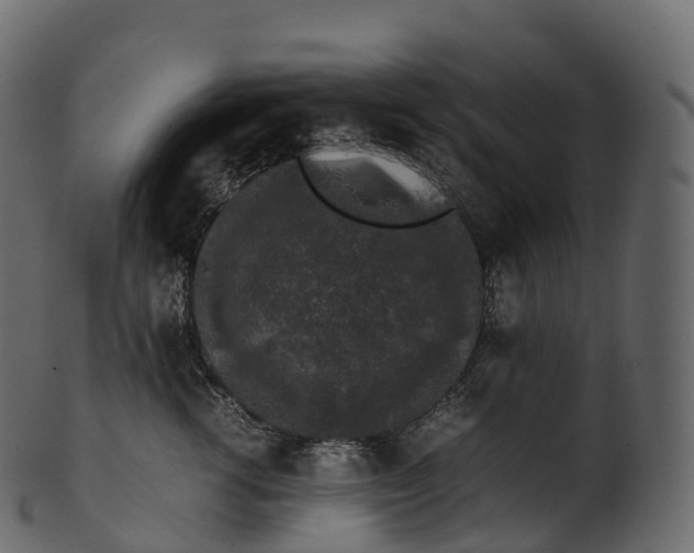 X0000100490762200807031916