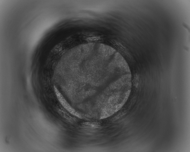 X0000100490763200807031916