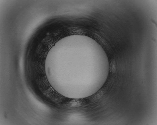 X0000100490764200807031916