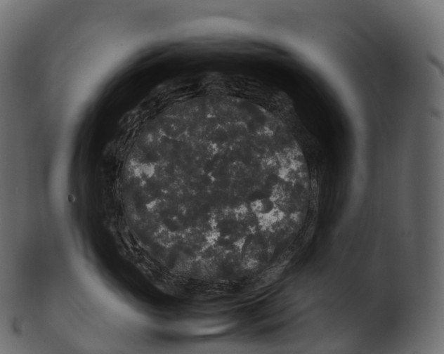 X0000100490765200807031916