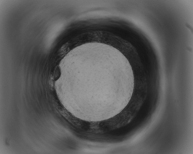 X0000100490766200807031916