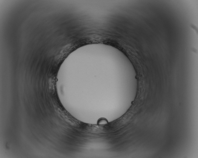 X0000100490768200807031916