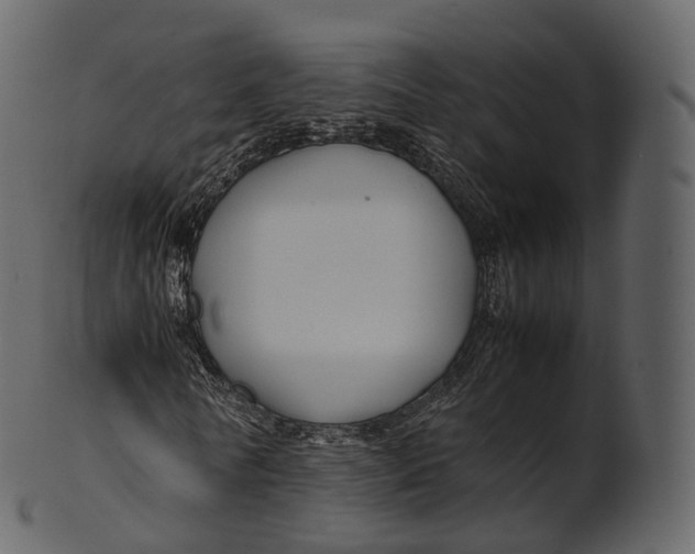 X0000100490770200807031915