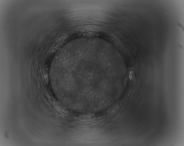 X0000100490771200807031915