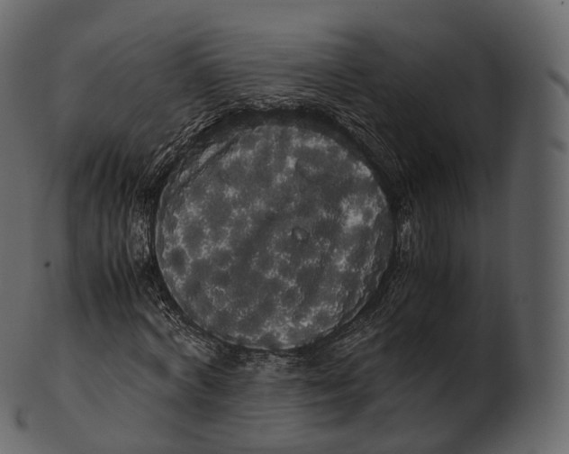 X0000100490772200807031915