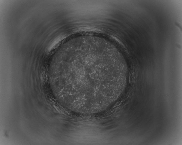 X0000100490775200807031915