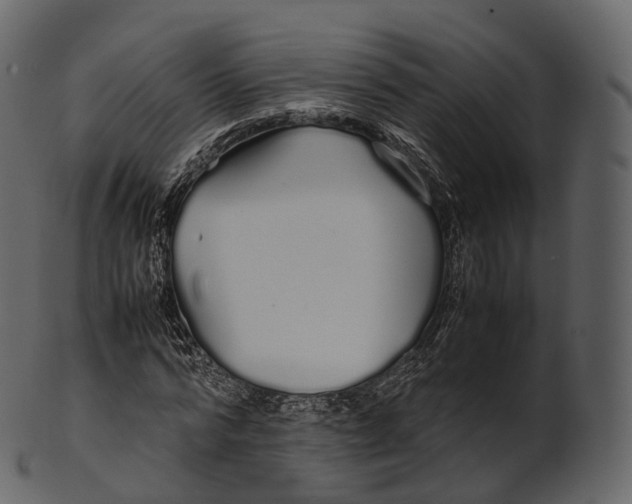 X0000100490776200807031915