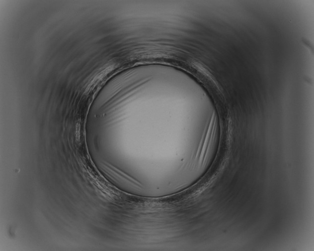 X0000100490777200807031915