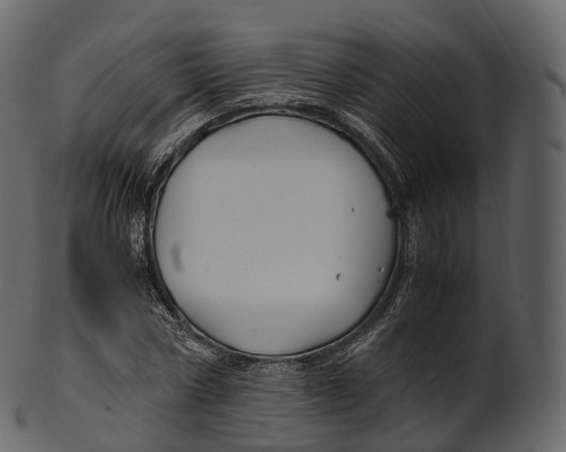 X0000100490778200807031915