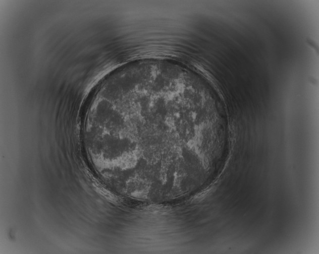 X0000100490779200807031915