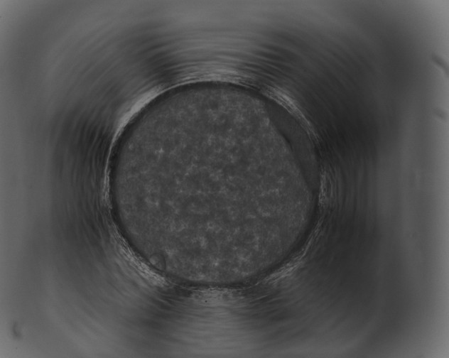 X0000100490780200807031915