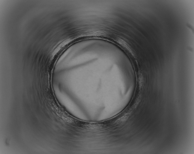 X0000100490781200807031915