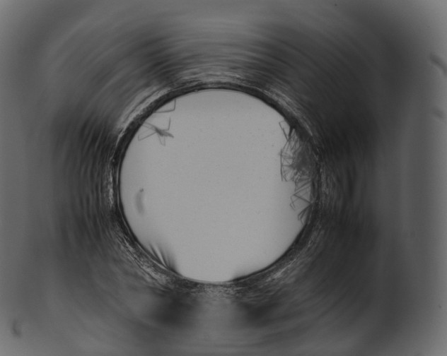 X0000100490782200807031915