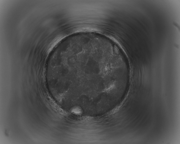 X0000100490783200807031915