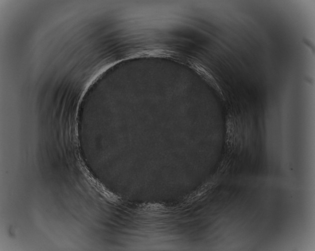 X0000100490784200807031915