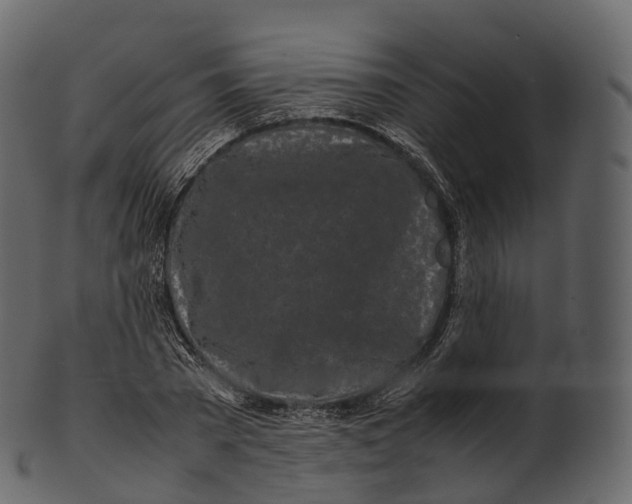 X0000100490785200807031915