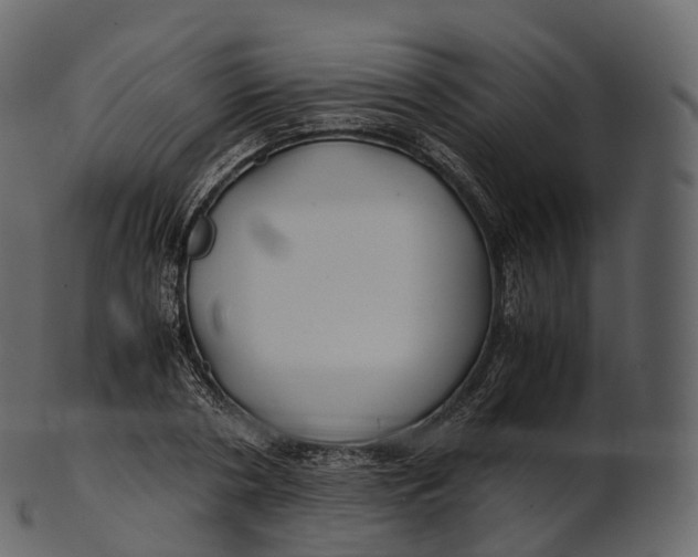 X0000100490786200807031915