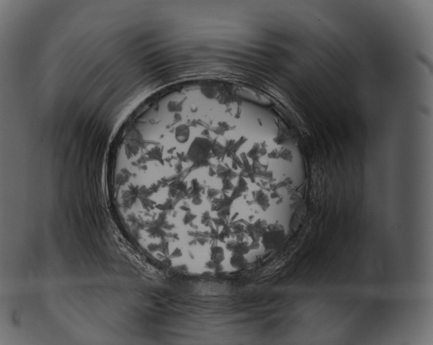 X0000100490788200807031915