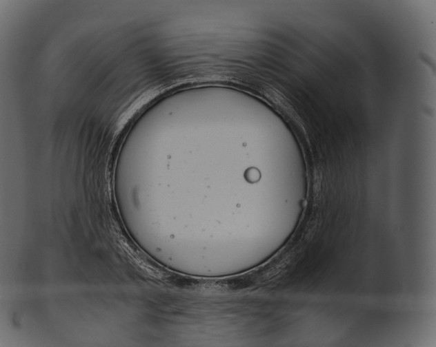 X0000100490789200807031915