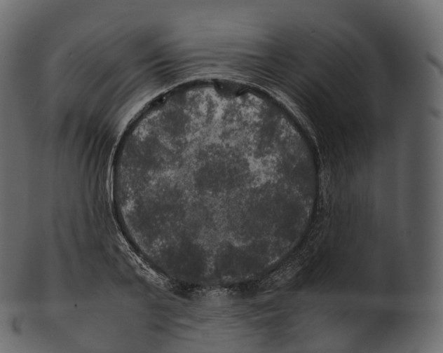 X0000100490791200807031915